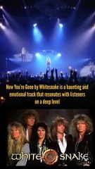 Now You're Gone - Whitesnake | The Story
