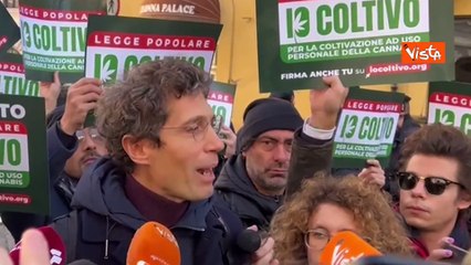 Flashmob a Montecitorio per coltivazione Cannabis domestica, Magi (+Europa): "Interesse pubblico"