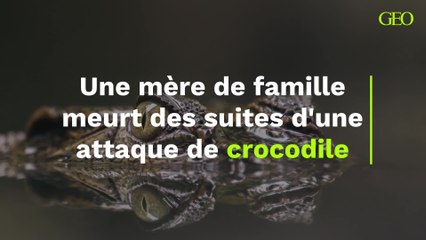 Une mère de famille meurt des suites d'une attaque de crocodile