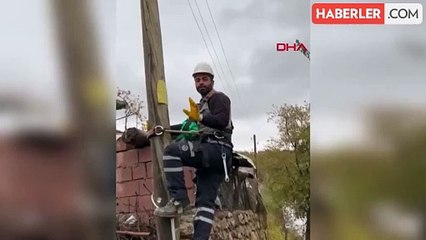 Adıyaman'da Elektrik Direğine Çıkan Yavru Kedi Kurtarıldı