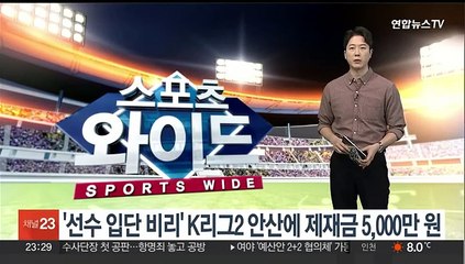 '선수 입단 비리' K리그2 안산에 제재금 5,000만 원