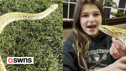 Family live with 10ft Burmese python and love to cuddle him like a lap dog