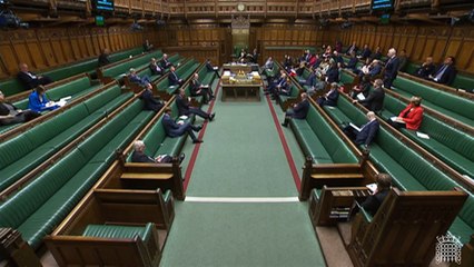 DUP MP Ian Paisley raises mass rape by Hamas in Israel