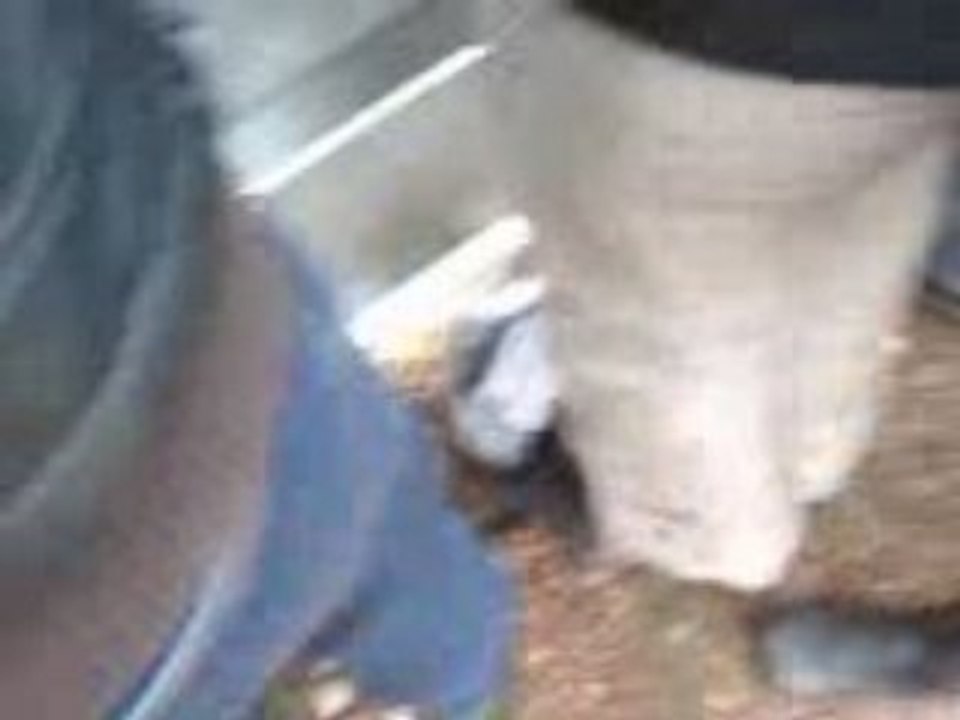 stunt en BMW a pecquencourt!!!