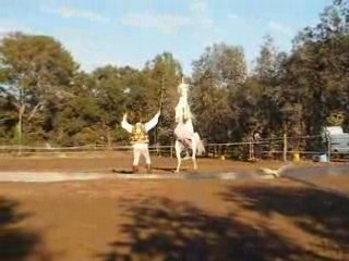 FRANCK INNOCENTI ET PIRAOUI LA LICORNE