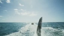 Surviving the Black Demon: Family's Thrilling Shark Tower Escape | Film Scene