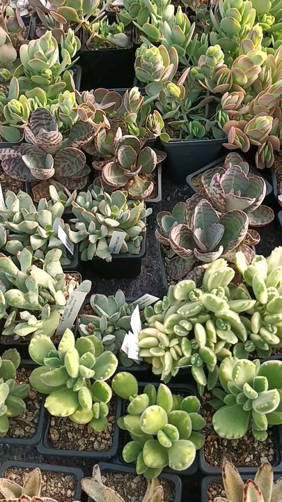 Voici ma nouvelle vidéo