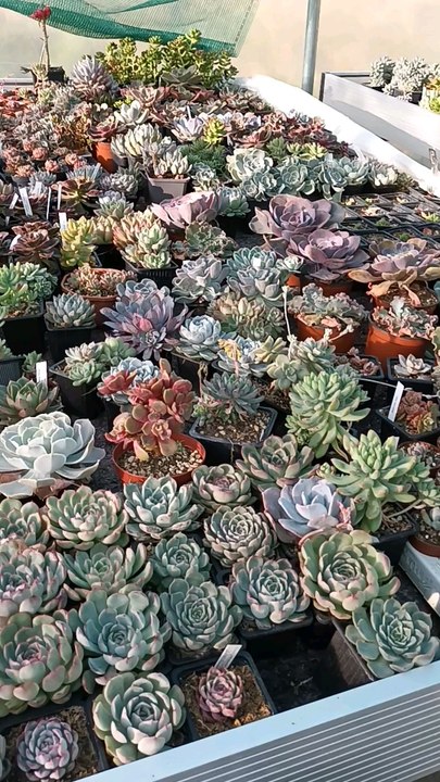 Voici ma nouvelle vidéo