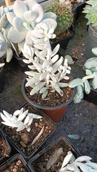 Voici ma nouvelle vidéo