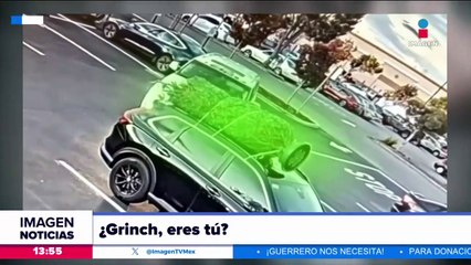 ¡Sujeto roba un arbolito de navidad!