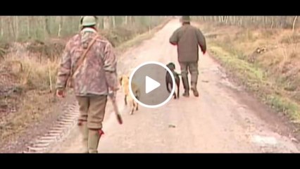 Partridge Hunting in France