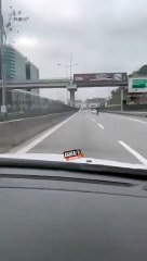 D-100'de araçları sollayan martı gündem oldu!