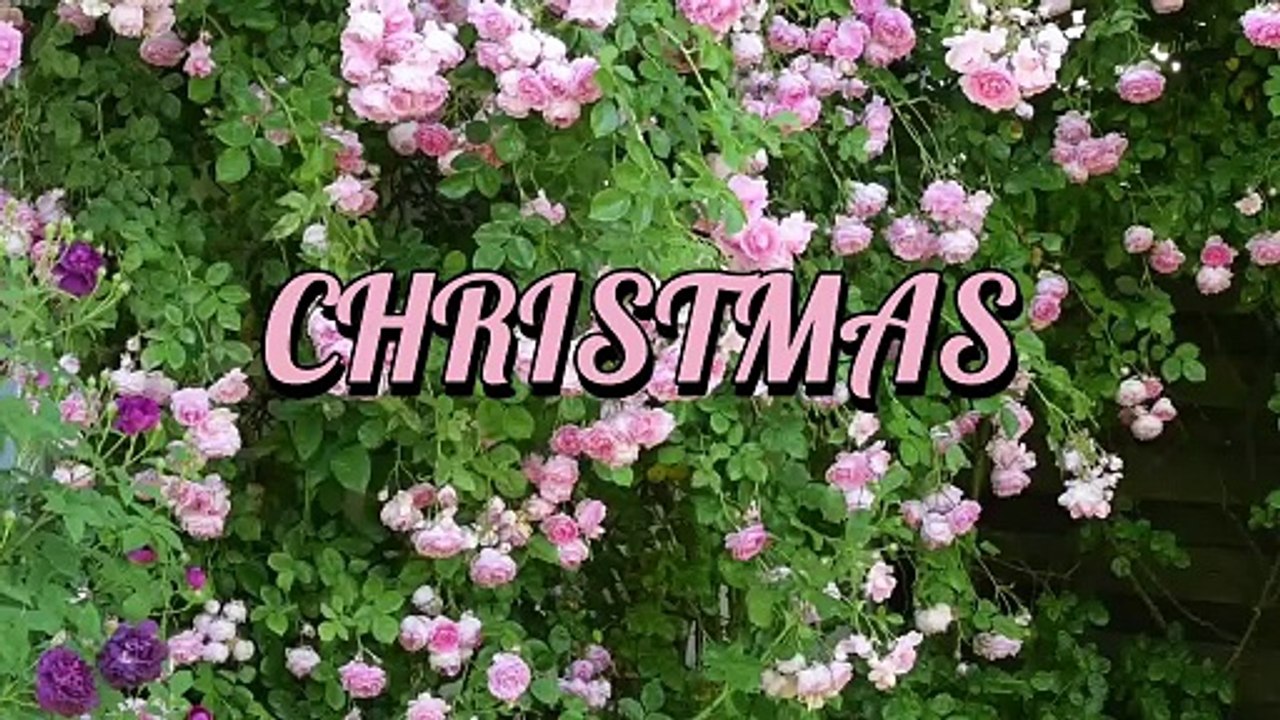CHRISTMAS_2025 Vidéo Dailymotion