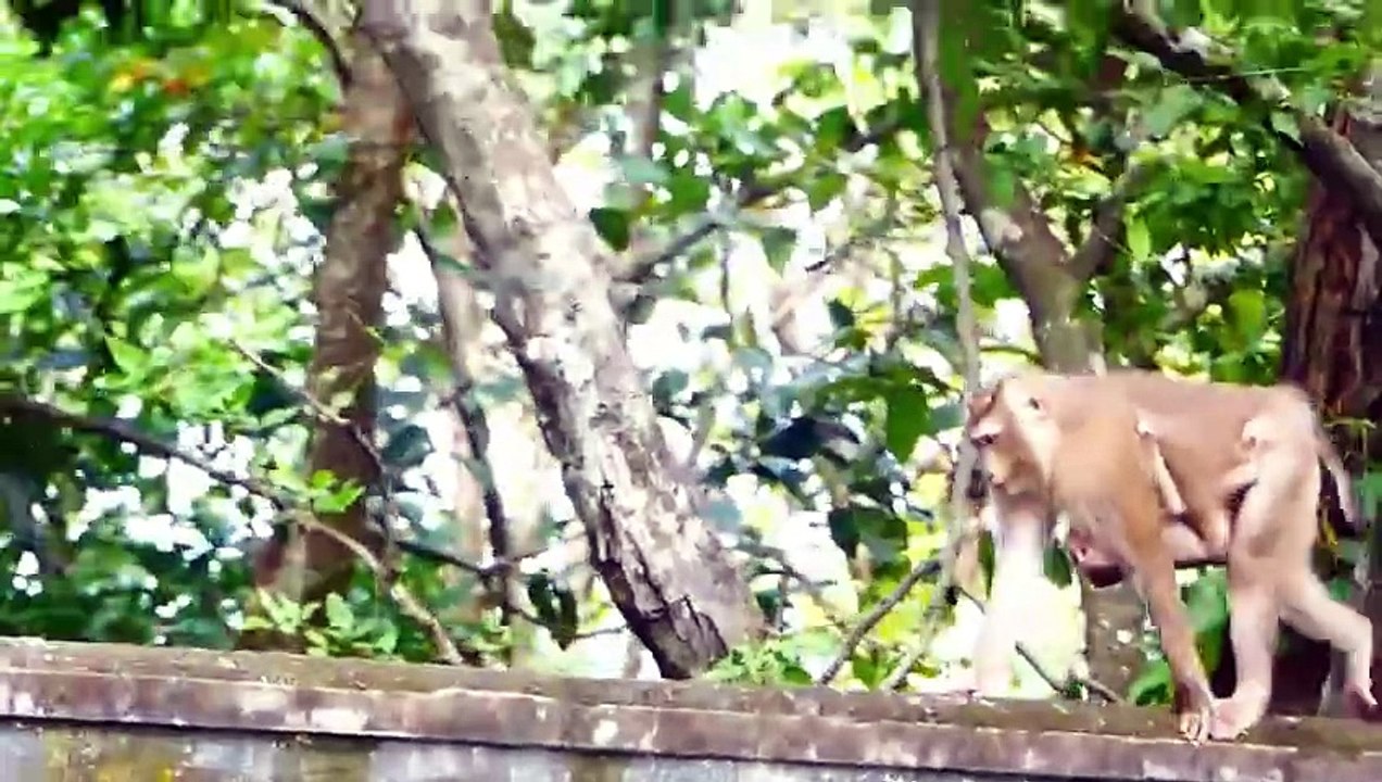 Little cute baby Mark is warned by mother Milina, Baby try harder to move out (720p_25fps_H264-192kbit_AAC)