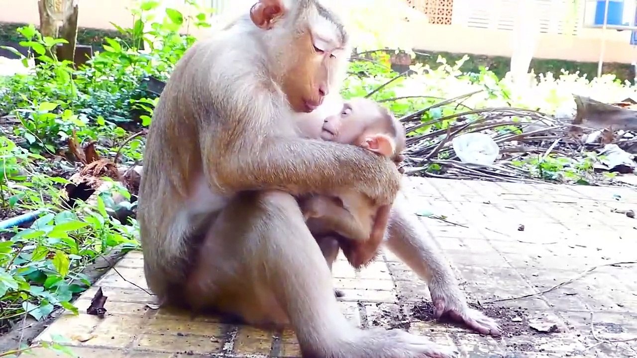 Little cute baby Monaco shaking crying on the ground, Mother Molia went out for foods around (720p_25fps_H264-192kbit_AAC)