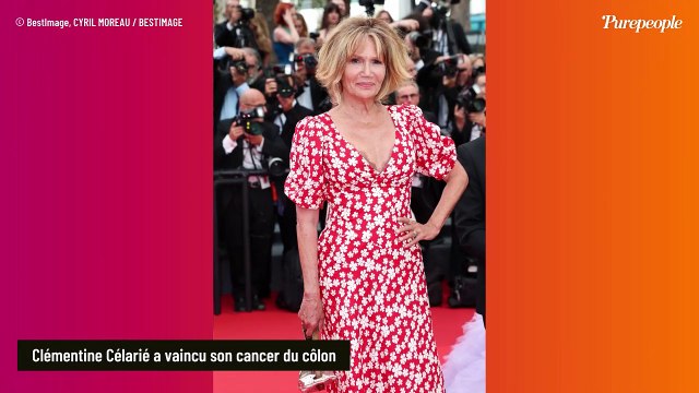 Clémentine Célarié, métamorphosée depuis le cancer : ces vrais partenaires dont elle ne peut plus se passer