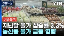 [굿모닝경제] 1년 만에 50% 오른 사과...유독 농산품 불안 이유는? / YTN