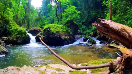 Beautiful Relaxing Music - Stop Overthinking, Stress Relief Music, Sleep Music, Calming Music
