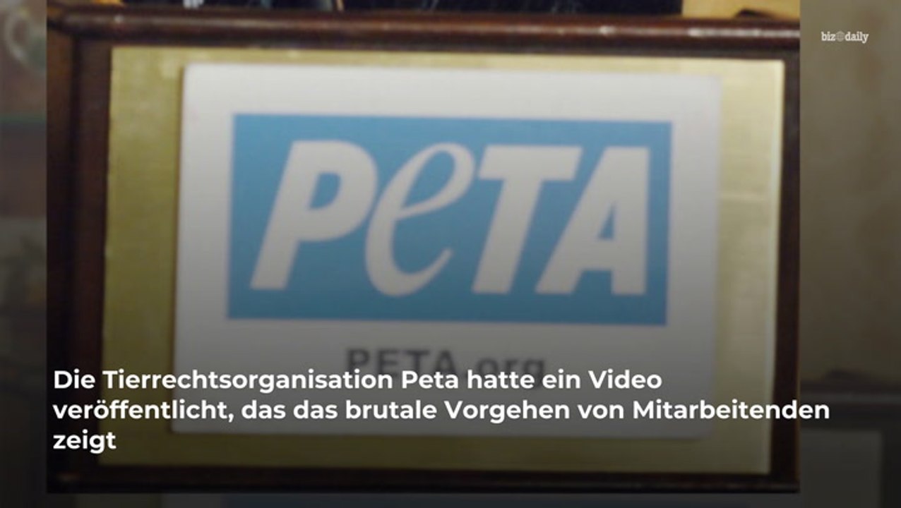 Nach erschreckendem Tierquäler-Video in München: Polizei gibt Statement ab