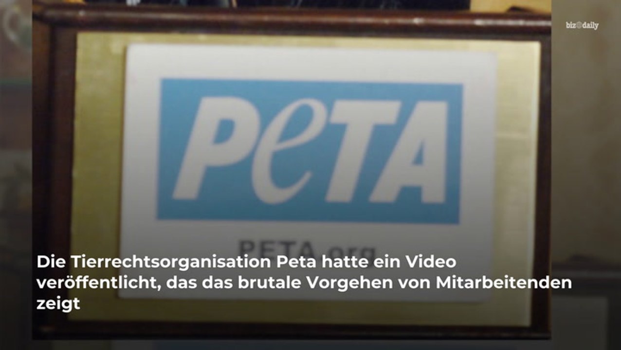 Nach erschreckendem tierquäler-video in münchen: polizei gibt statement ab