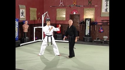 Bill Wallace Superfoot's Secrets for Success Volume 3: Secrets to Championship Kicking