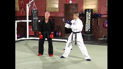 Bill Wallace Superfoot's Secrets for Success Volume 4: Secrets to Point Sparring
