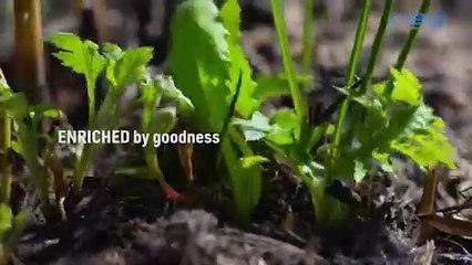 Satoyama: Japan's Secret Watergarden | show | 1999 | Official Trailer