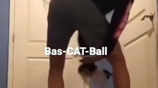 Funny cat dog animals compilation animal videos on Instagram Tiktok