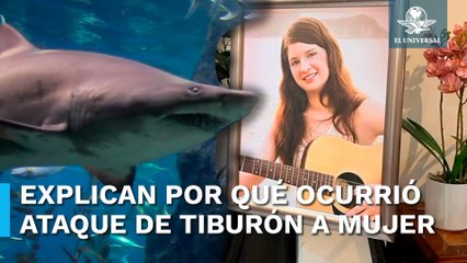 Ataque de tiburón a mujer en Jalisco sucedió por esta razón