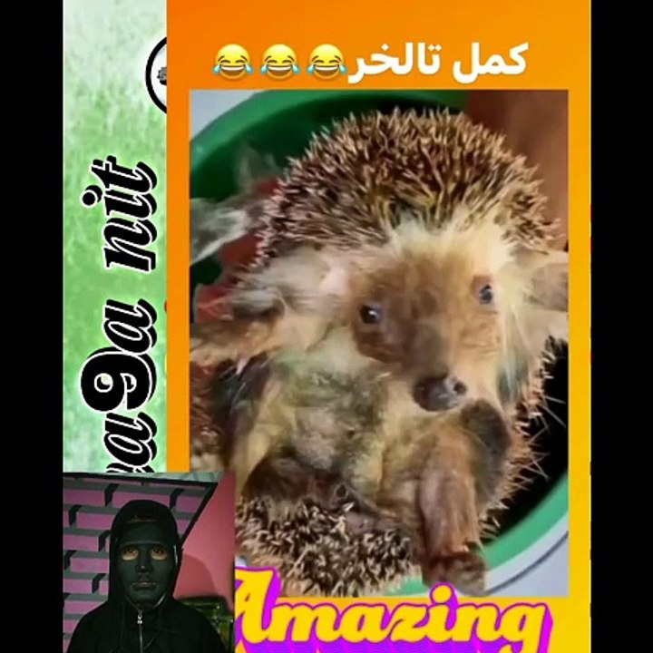 riyaction