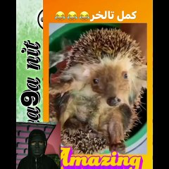 Riyaction: Your Ultimate Riyadh Event Guide