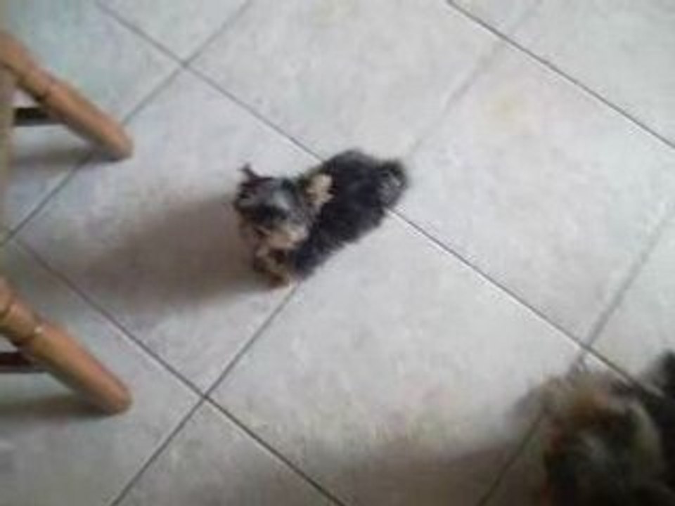 Bingo et Betty