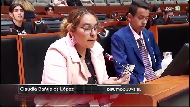 Diputados juveniles aprobaron propuesta para que 100% de los camiones urbanos tengan rampa
