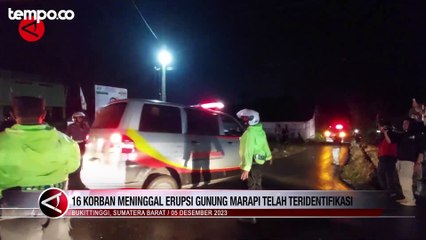 16 Pendaki Tewas Korban Erupsi Gunung Marapi Sudah Teridentifikasi