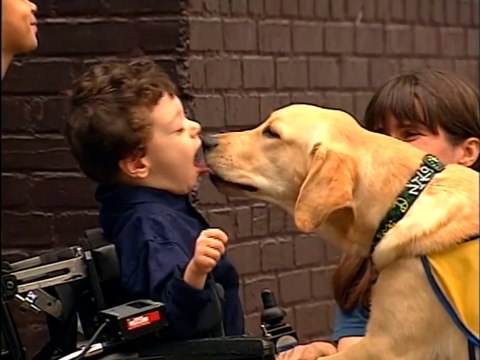 Clifford the Big Red Dog - Real Life Doggie Friends Segment - A The Service Dog (HD DVD Rip)