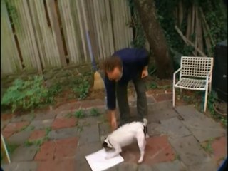 Clifford the Big Red Dog - Real Life Doggie Friends Segment - Dogs is Makes Craft Paper (HD DVD Rip)