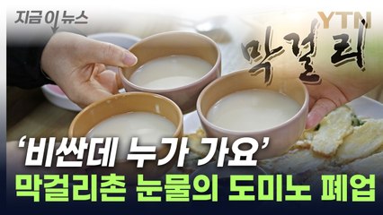 "너무 비싸" 돌아선 시민들에...전주 막걸리 골목 줄폐업 [지금이뉴스] / YTN