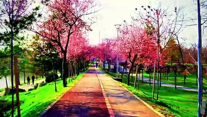 Natureza é linda tanto quanto Deus (2)