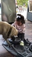Daughter vs. Dog in Heartsome Tug-of-War Fun!  || #heartsome #dog #toddlers