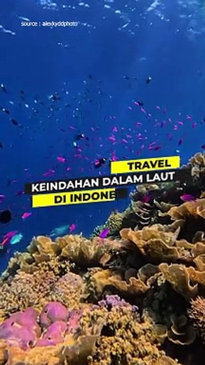 Pesona Bawah Laut Indonesia