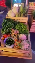 Netflix Philippines caps off 2023 with a barangay fiesta-themed party! | PEP Goes To