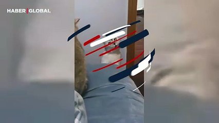 Evin yeni üyesi kediye verdiği tepki ile sosyal medyayı sallayan kedi