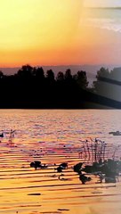 The Mental Strength Behind Fitness Goals