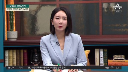 고양이 22마리 유기, 누가? 앙상한 몸…제대로 못 먹어