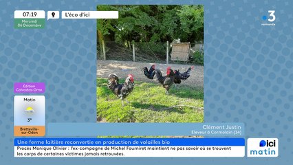 06/12/2023 - Le 6/9 de France Bleu Basse Normandie en vidéo