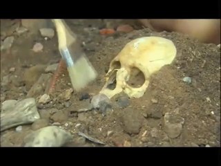 The Dark Ages - The Plague