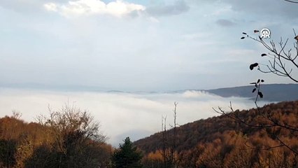 Bolu ve Düzce'de sis etkili oldu
