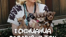 Tutti gli animali di Paris Hilton