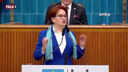 Partisindeki skandallara sessiz kalan Akşener CHP'yi hedef aldı! "Sırtlanlar, haşereler..."