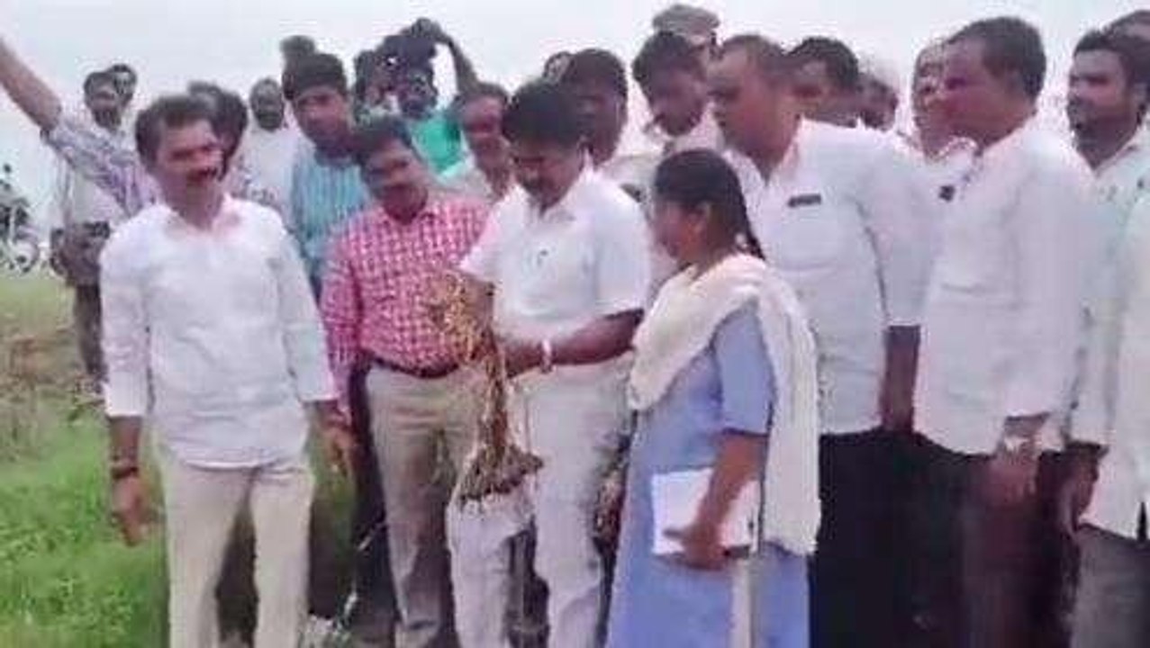 ప్రకాశం జిల్లా: నష్టపోయిన పంటలను పరిశీలించిన మంత్రి... వీడియో